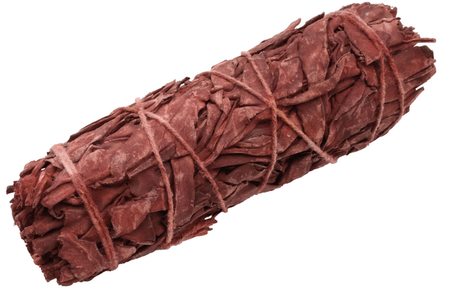 Sauge sang du dragon 30-35 GR